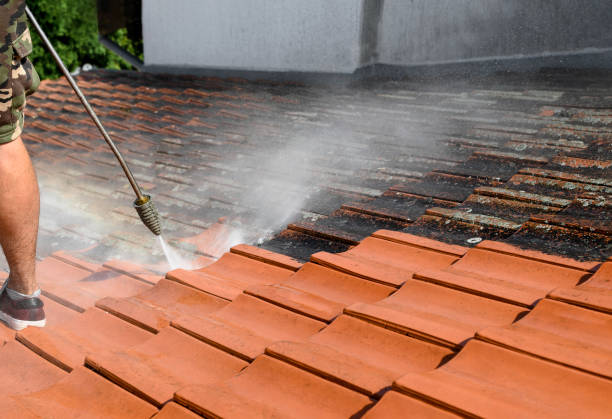 Best Exterior Home Cleaning  in Magnolia, OH