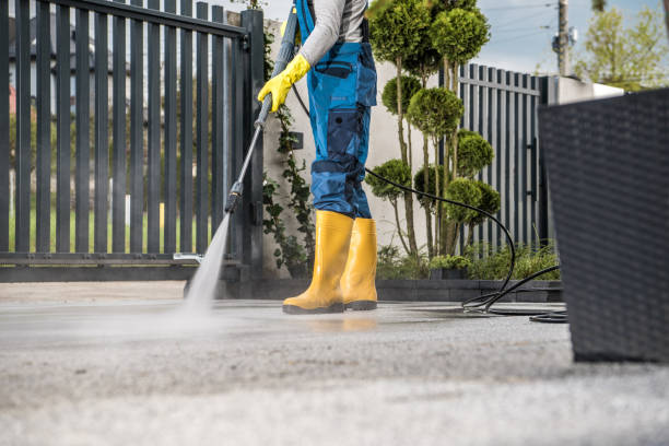 Best Deck Cleaning Services  in Magnolia, OH